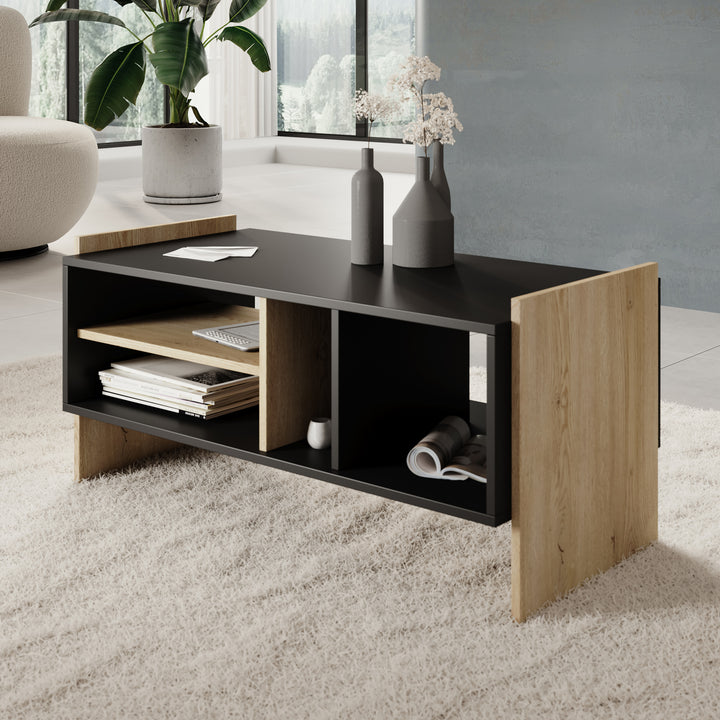 Benz - Salontafel - Zwart - 100x50x47 cm