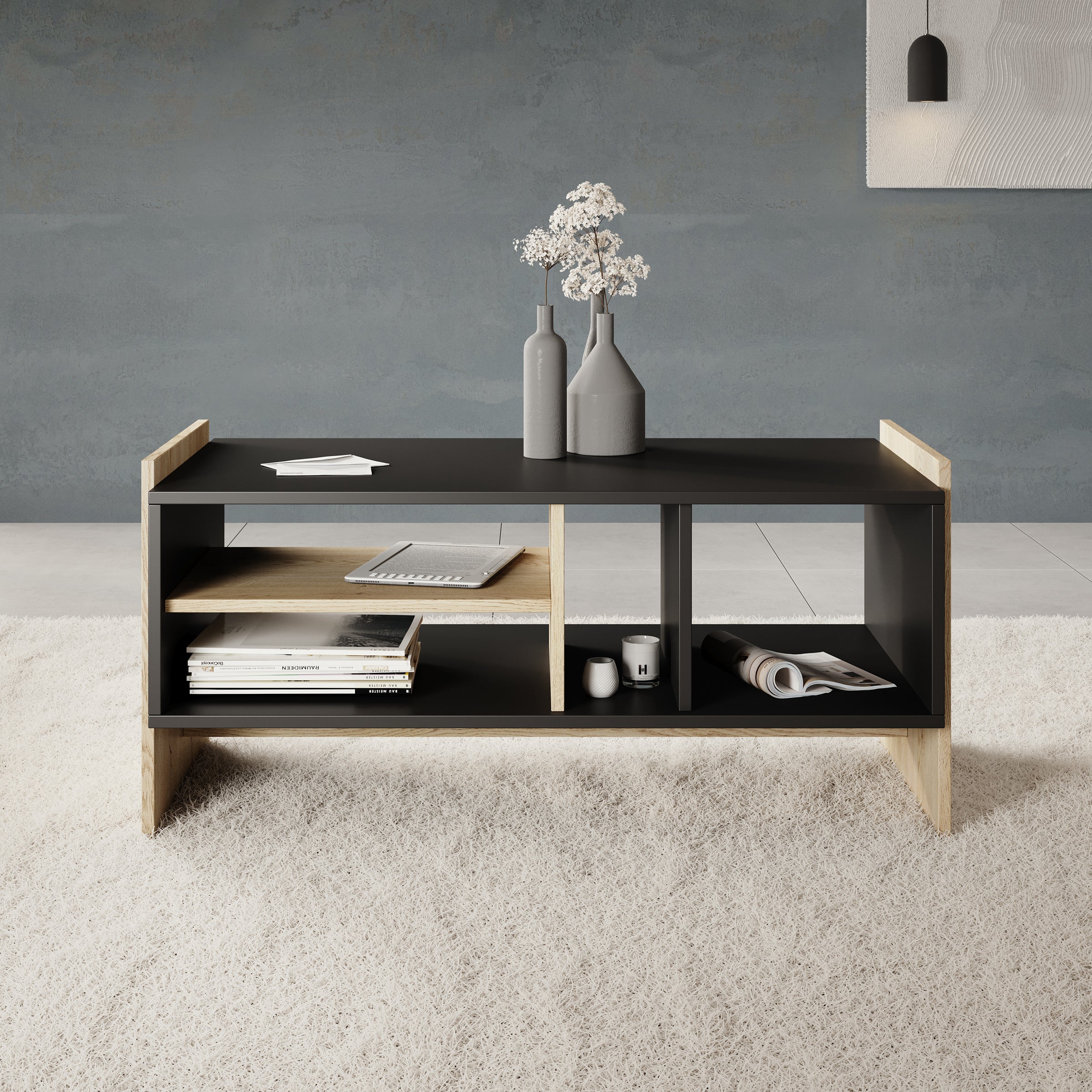 Benz - Salontafel - Zwart - 100x50x47 cm