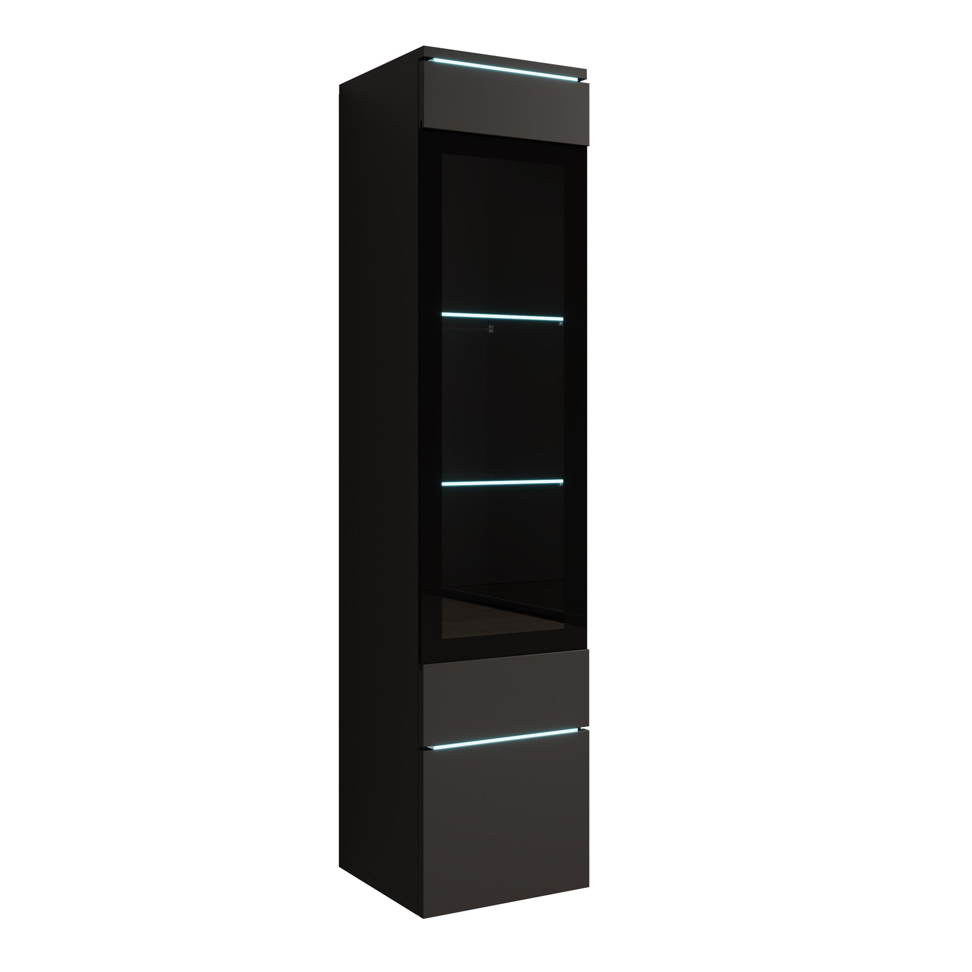 Variety - Vitrinekast met LED - Zwart - 30x33x130 cm